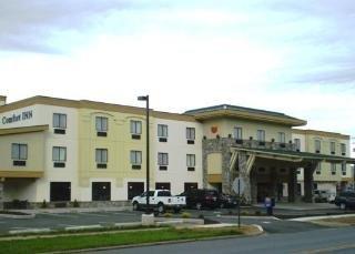 Comfort Williamsport